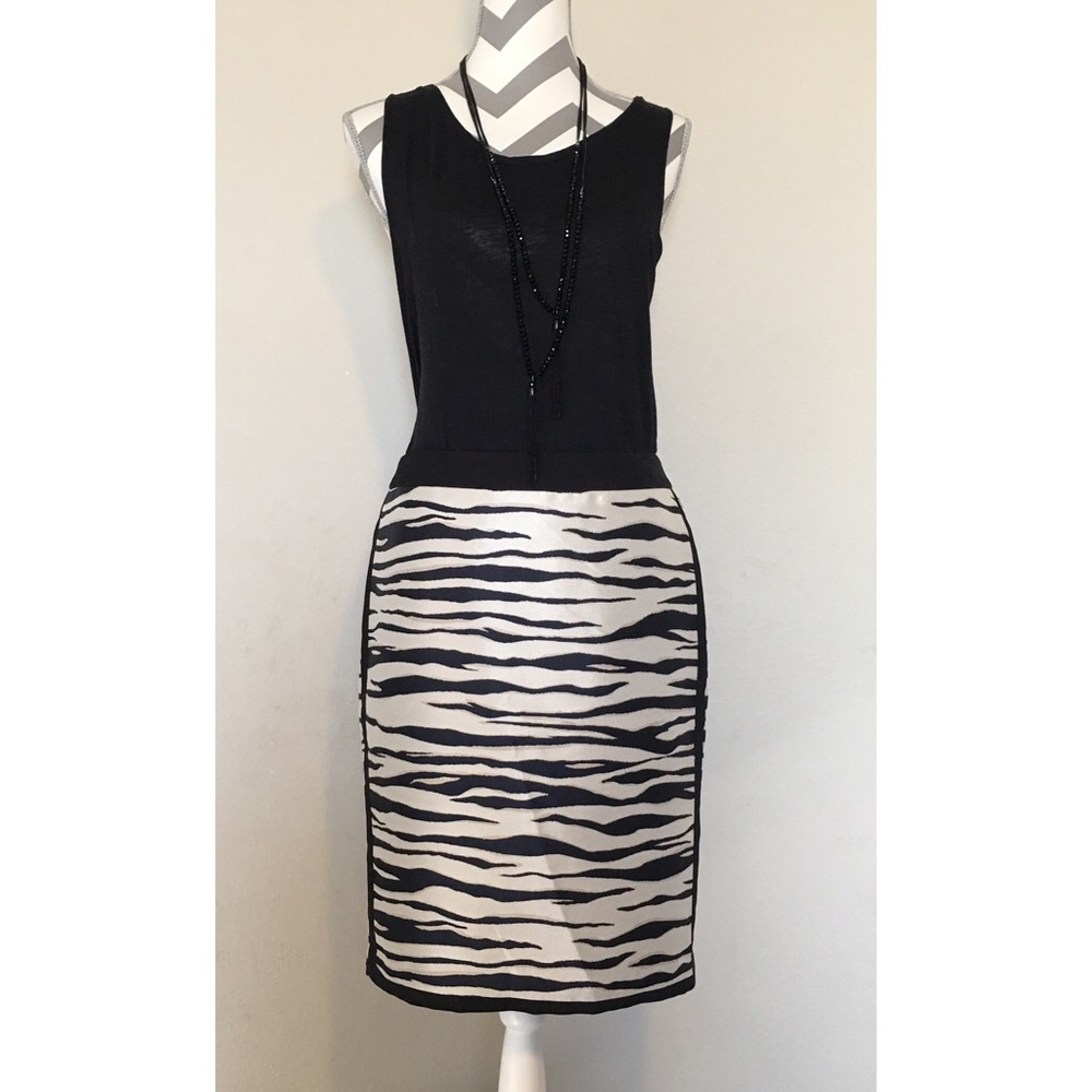 Ann Taylor Zebra Print Skirt